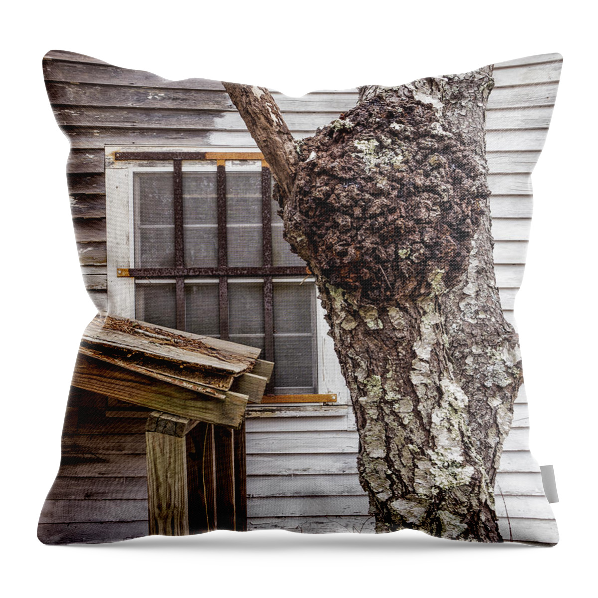 Old Throw Pillow featuring the photograph Burl and Window by Frank Winters