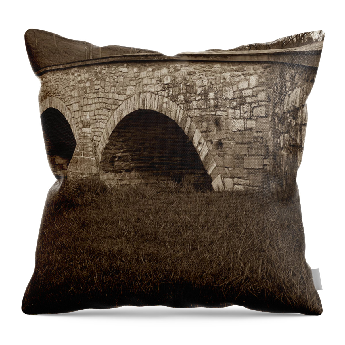 Anbp Throw Pillow featuring the photograph Burnside Bridge by James Oppenheim