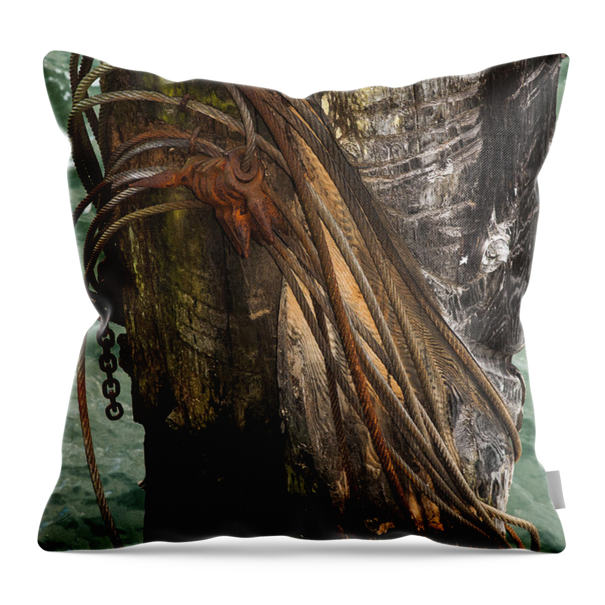 Pilings Throw Pillow featuring the photograph Burnt Pilings by Robert Potts