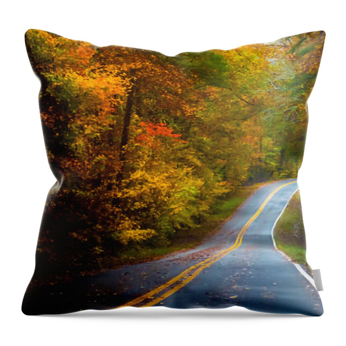 Little River Canyon Throw Pillow featuring the photograph Bursts of Color in the Mountains by Parker Cunningham