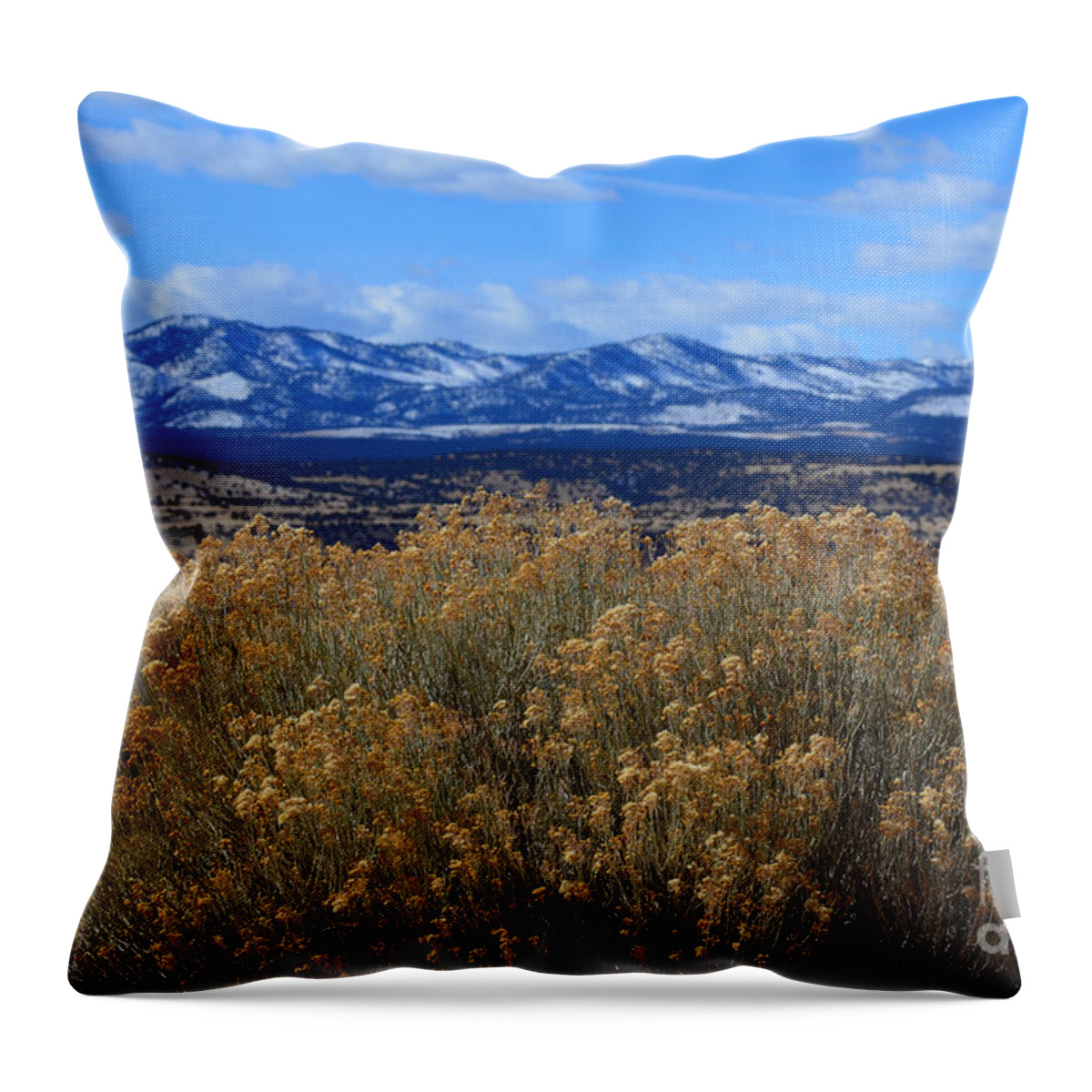 Southwest Landscape Throw Pillow featuring the photograph Bush with a view by Robert WK Clark