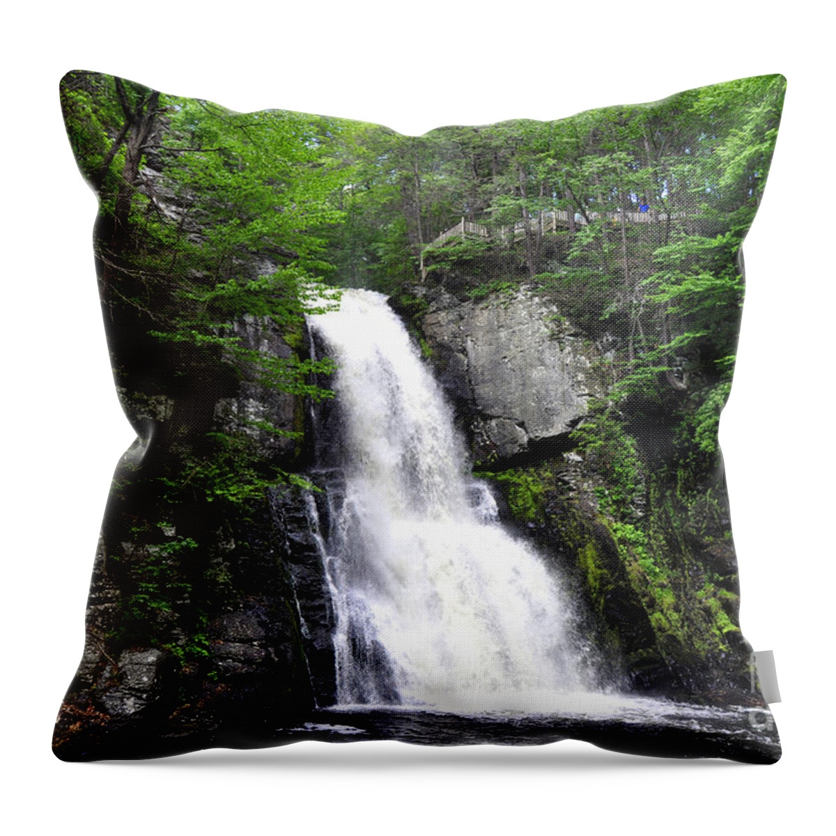 Bushkill Falls Throw Pillow featuring the photograph Bushkill Fall - Five by Andrew Dinh