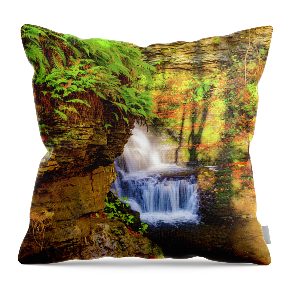 Waterfall Throw Pillow featuring the photograph Bushkill Falls Beauty by Jodi Lyn Jones