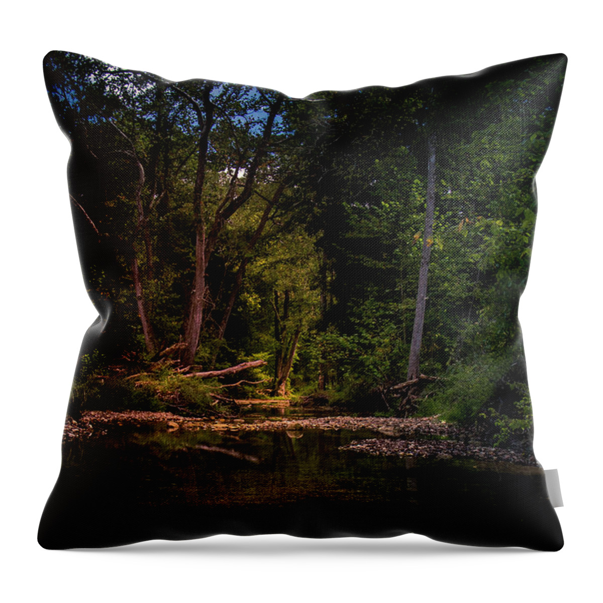 Busiek Throw Pillow featuring the photograph Busiek State Forest by Allin Sorenson