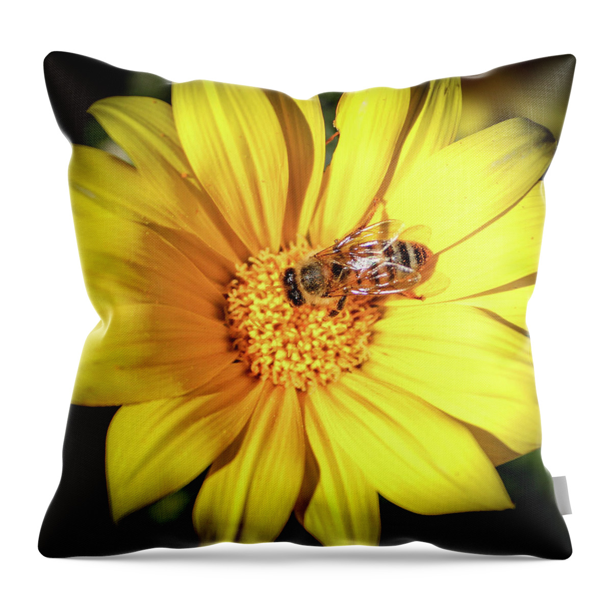 Bee Throw Pillow featuring the photograph Busy Bee by Alison Frank