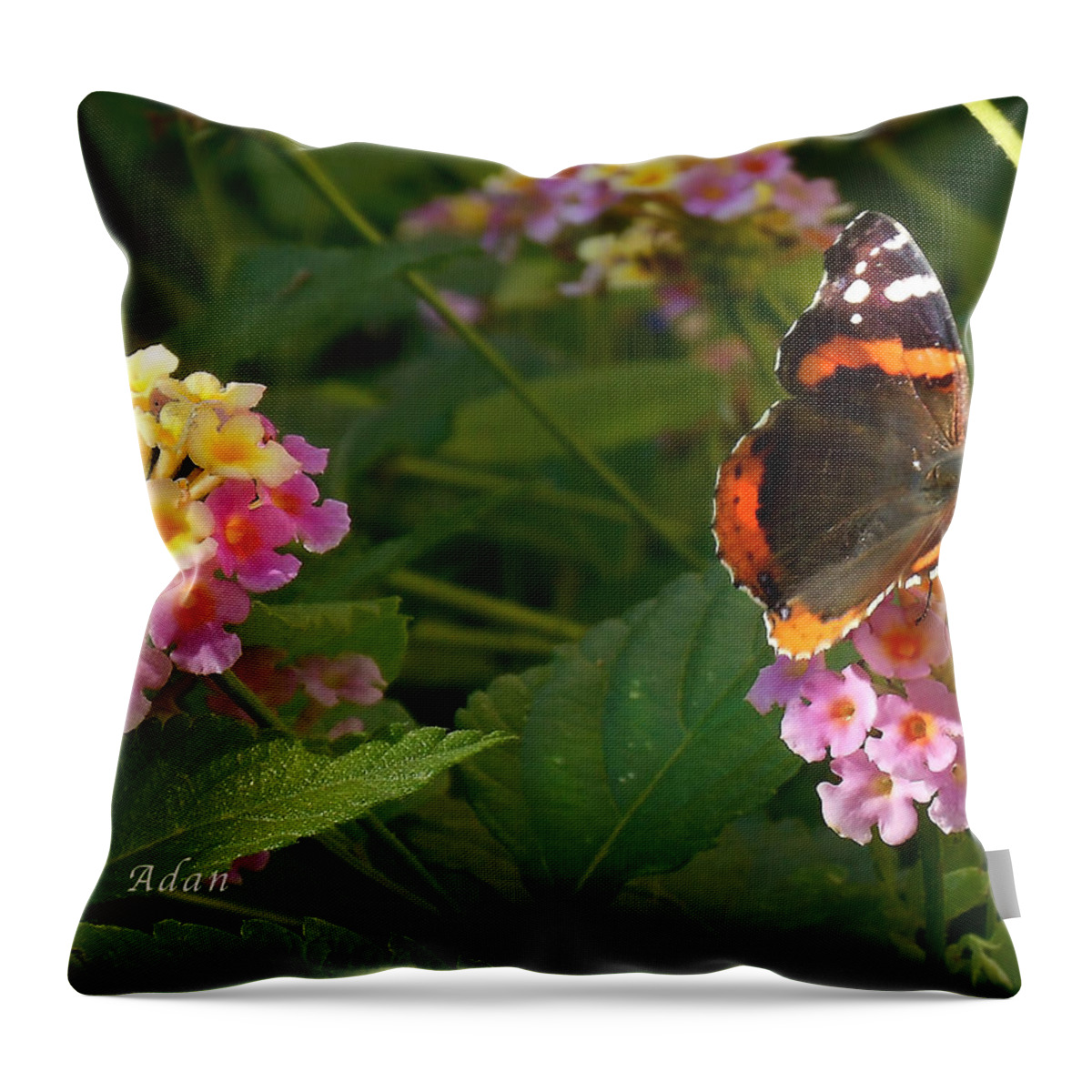 Monarch Butterfly Throw Pillow featuring the photograph Busy Butterfly Side 1 by Felipe Adan Lerma