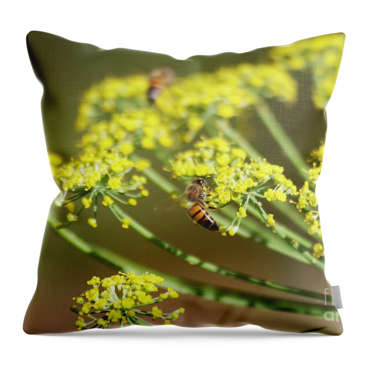 Honeybee Throw Pillow featuring the photograph Busy,busy,bees by Ruth Jolly