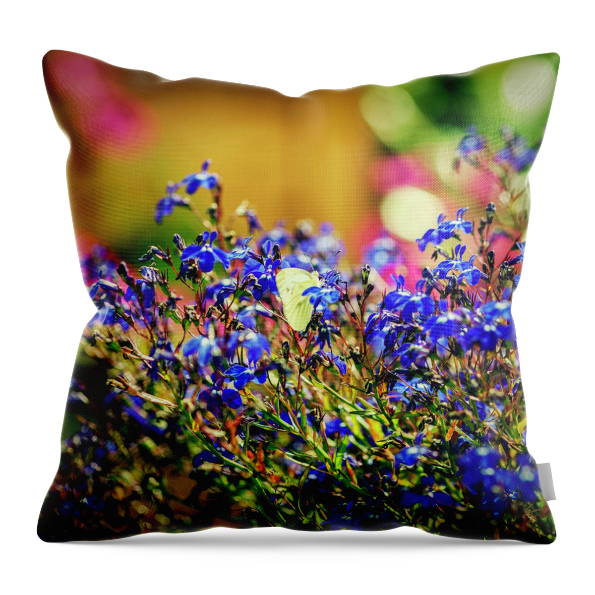 Flower Throw Pillow featuring the photograph Butterfly on flowers by Mike Santis