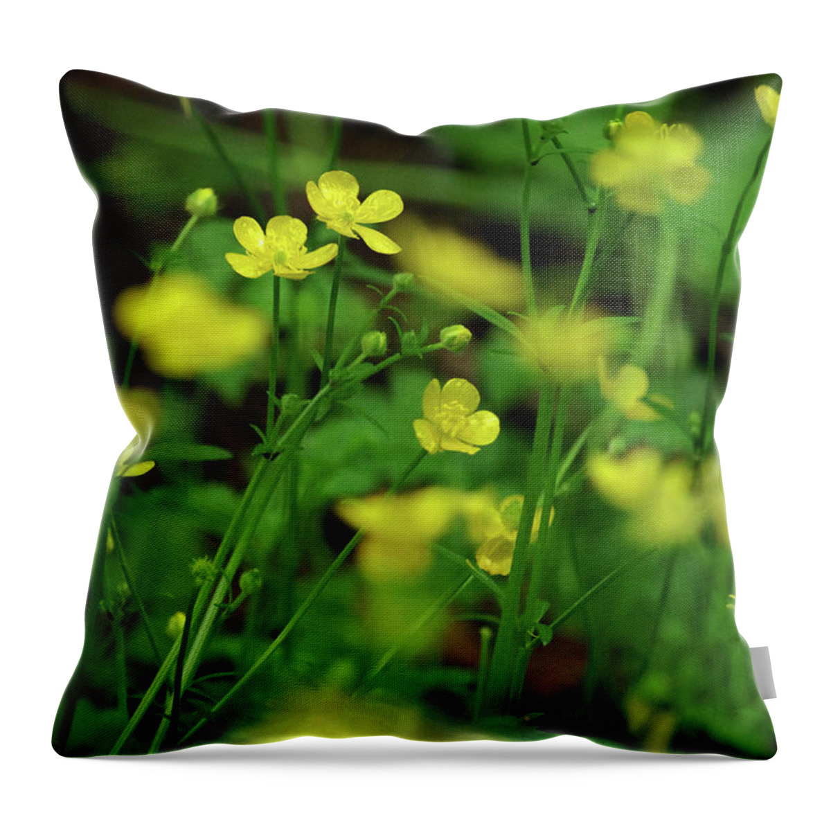 Anther Throw Pillow featuring the photograph Buttercup Grouping- vertical- Butler Creek Trail by Rick Bures