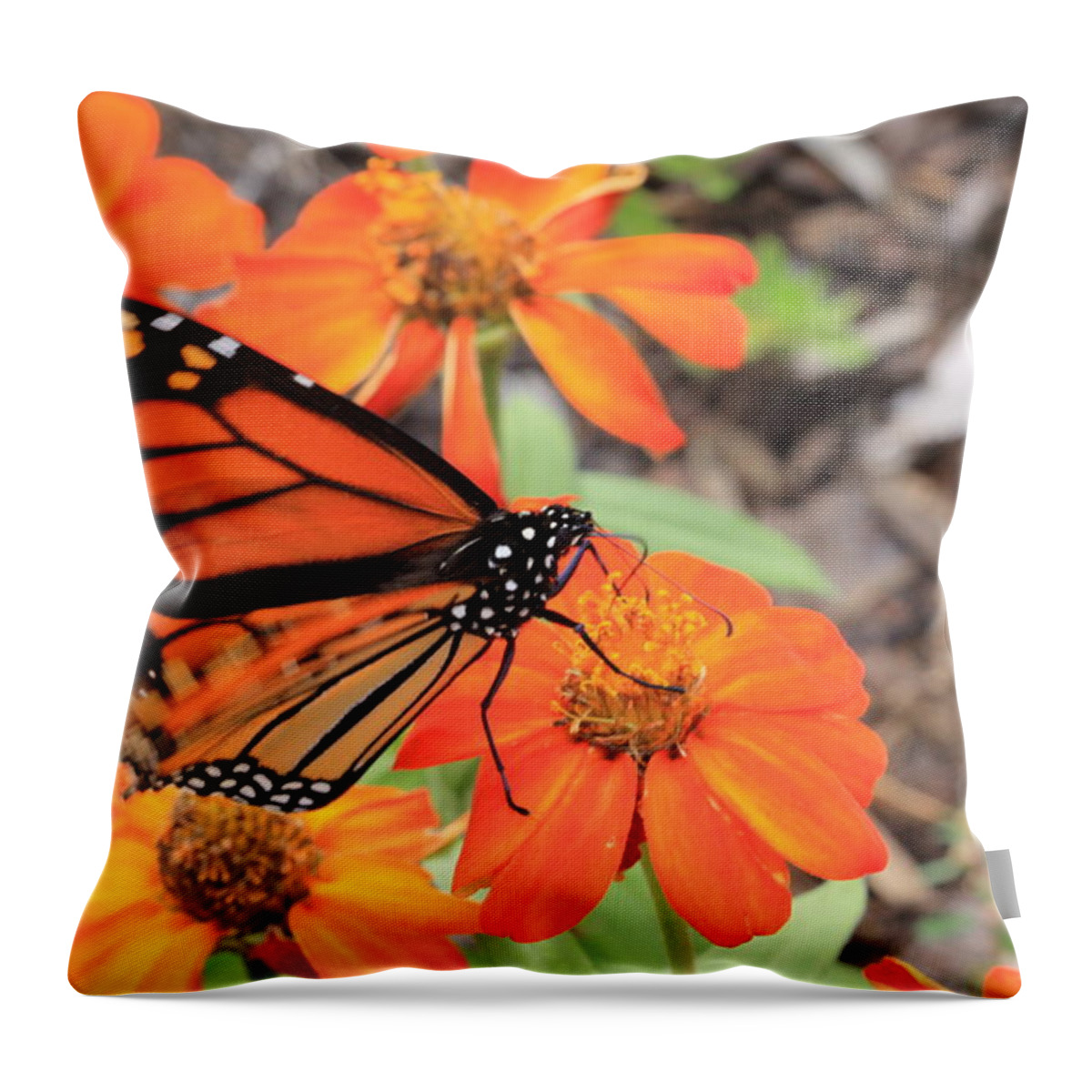 Butterfly Throw Pillow featuring the photograph Butterflies at The Flowering Bridge by Karen Ruhl