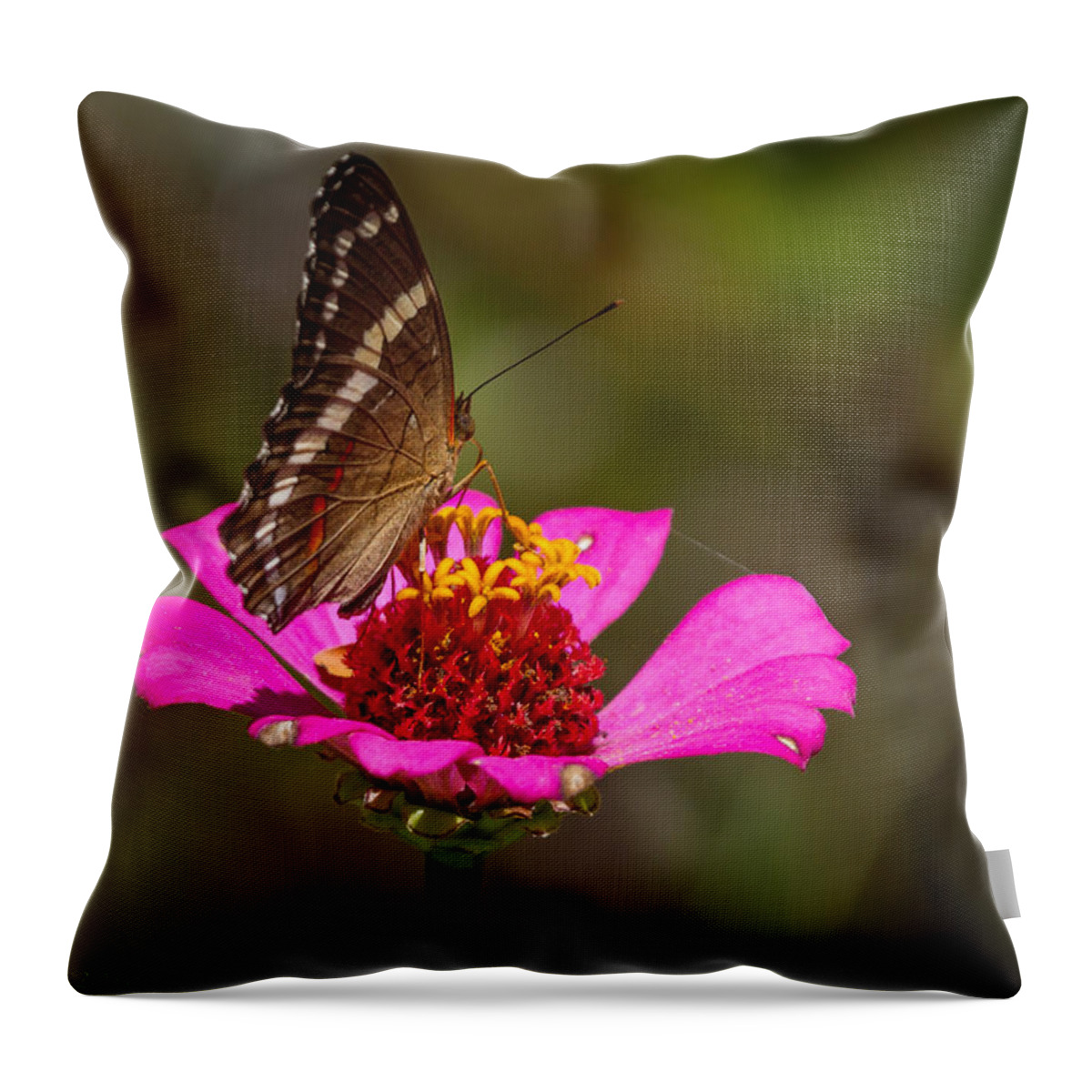 Nature Throw Pillow featuring the photograph Butterflower by Lee Alloway