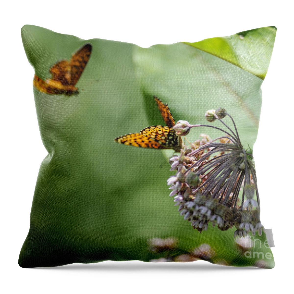 Butterfly Throw Pillow featuring the photograph Butterfly #42 by Carien Schippers