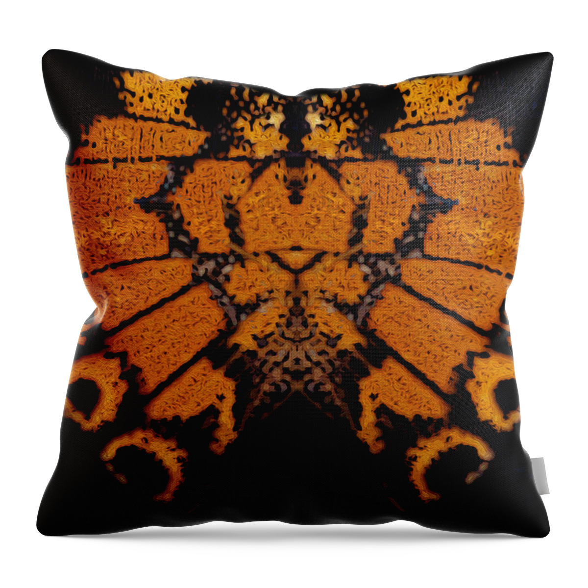 Butterfly Throw Pillow featuring the photograph Butterfly Abstract by Jeff Phillippi