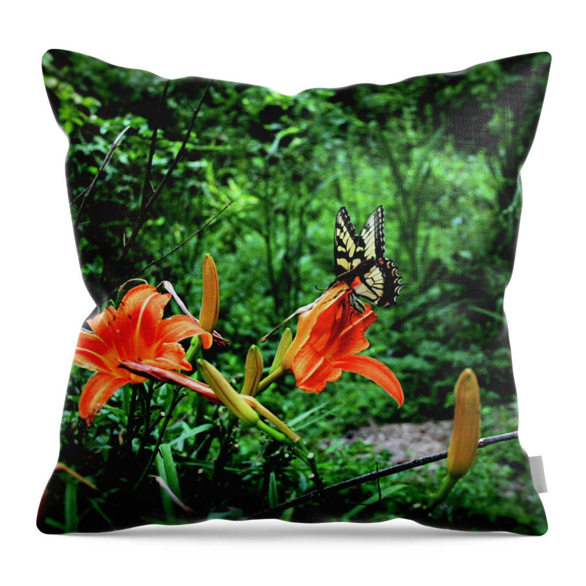 Butterfly Throw Pillow featuring the photograph Butterfly and Canna Lilies by Cathy Harper