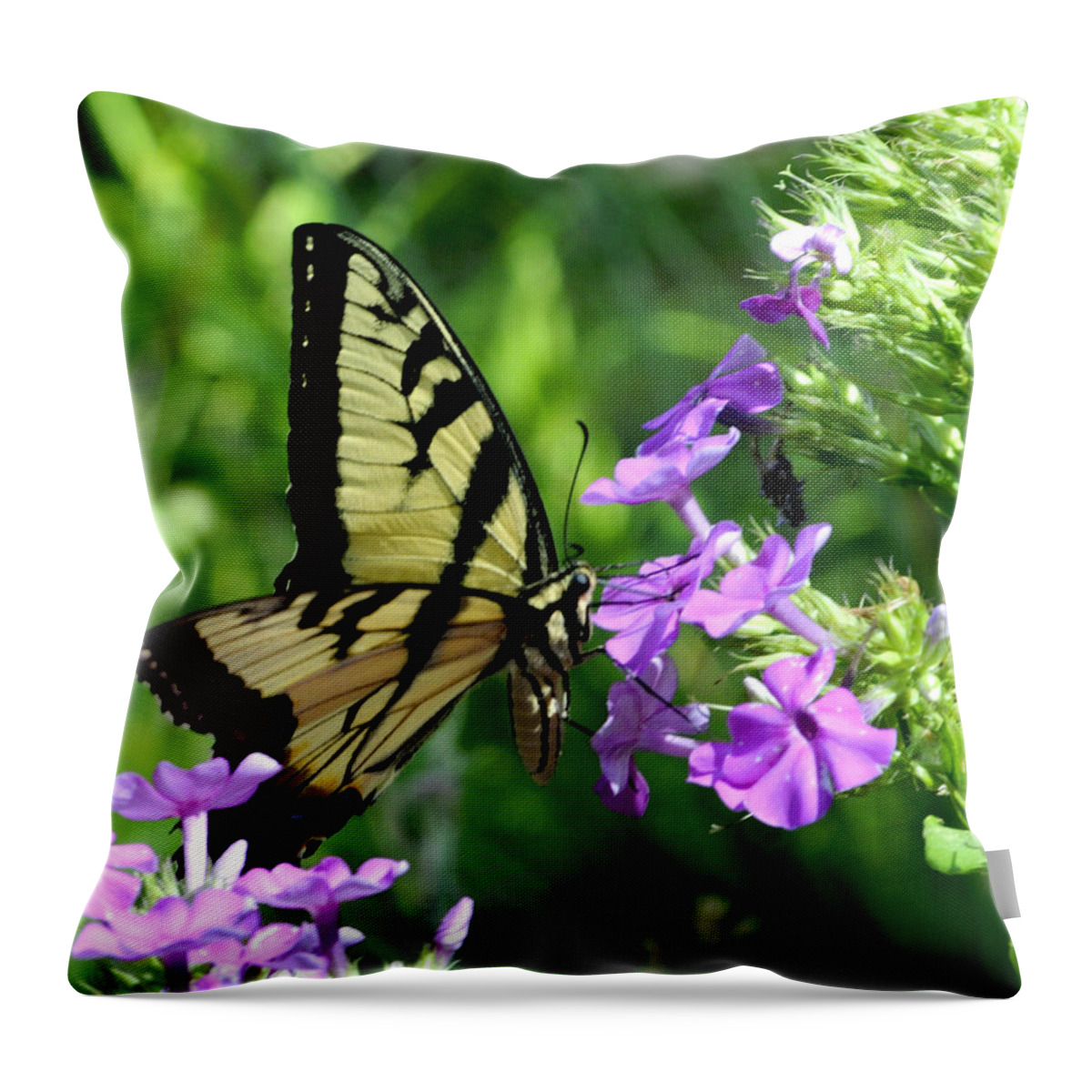 Green Throw Pillow featuring the photograph Butterfly and Flower by Glenn Grossman