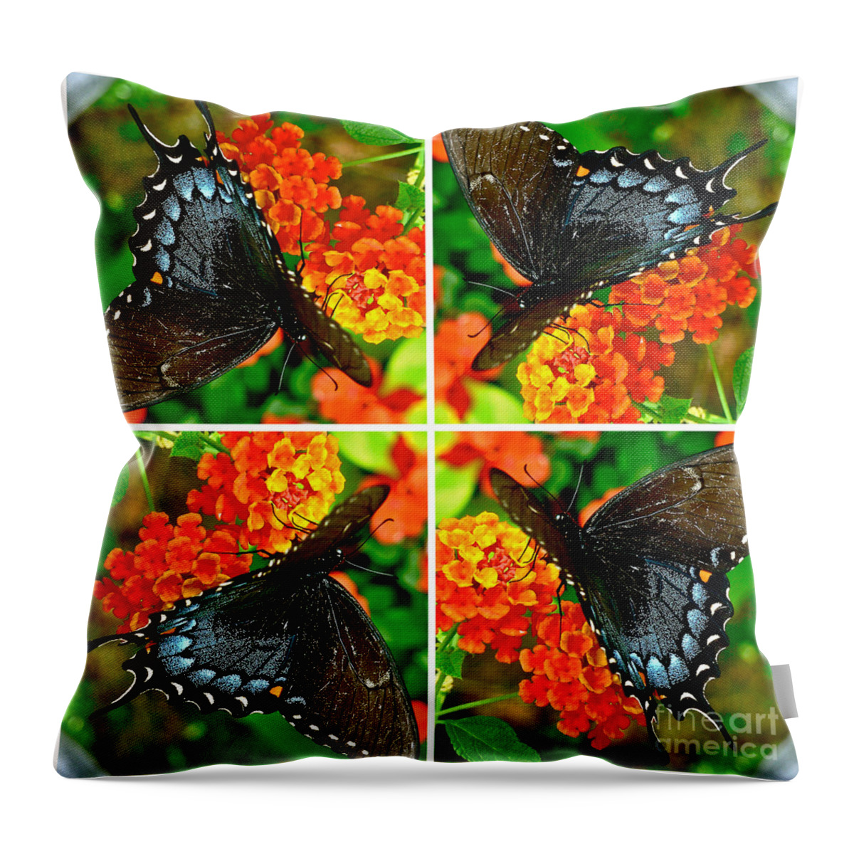 Butterfly Throw Pillow featuring the photograph Butterfly Collage by Jean Wright