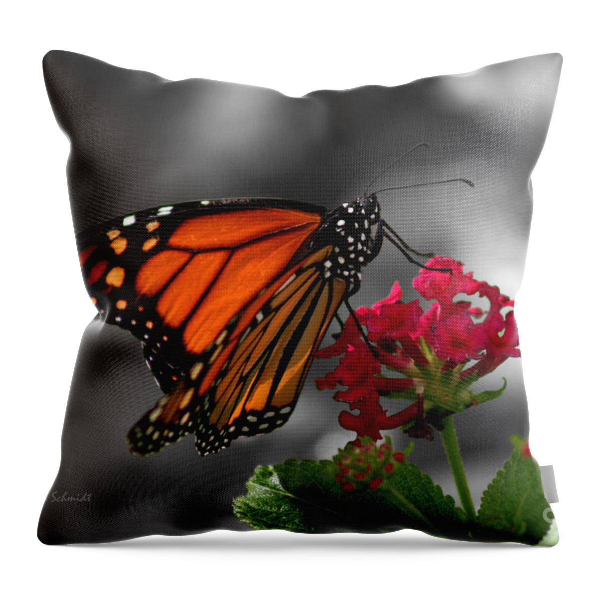Butterfly Garden Throw Pillow featuring the photograph Butterfly Garden 01 - Monarch by E B Schmidt