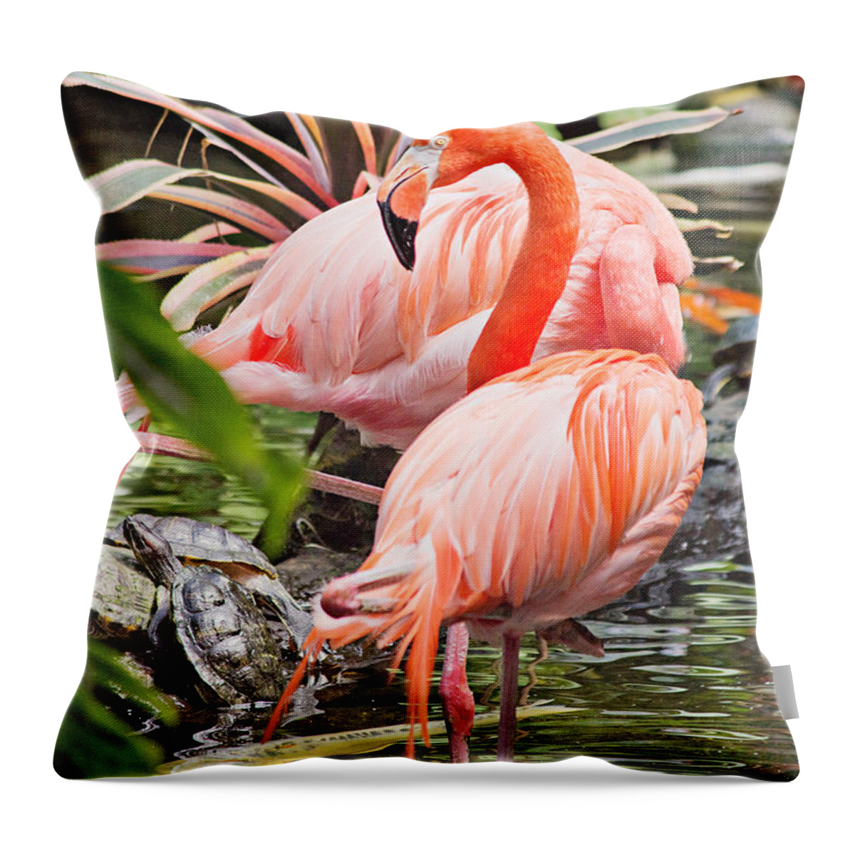 Flamingo Throw Pillow featuring the photograph Butterfly Garden Wildlife by Peter J Sucy