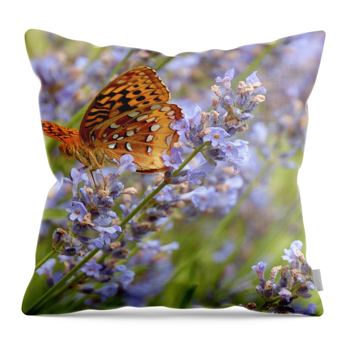Lavender Throw Pillow featuring the photograph Butterfly Heaven by Lara Ellis