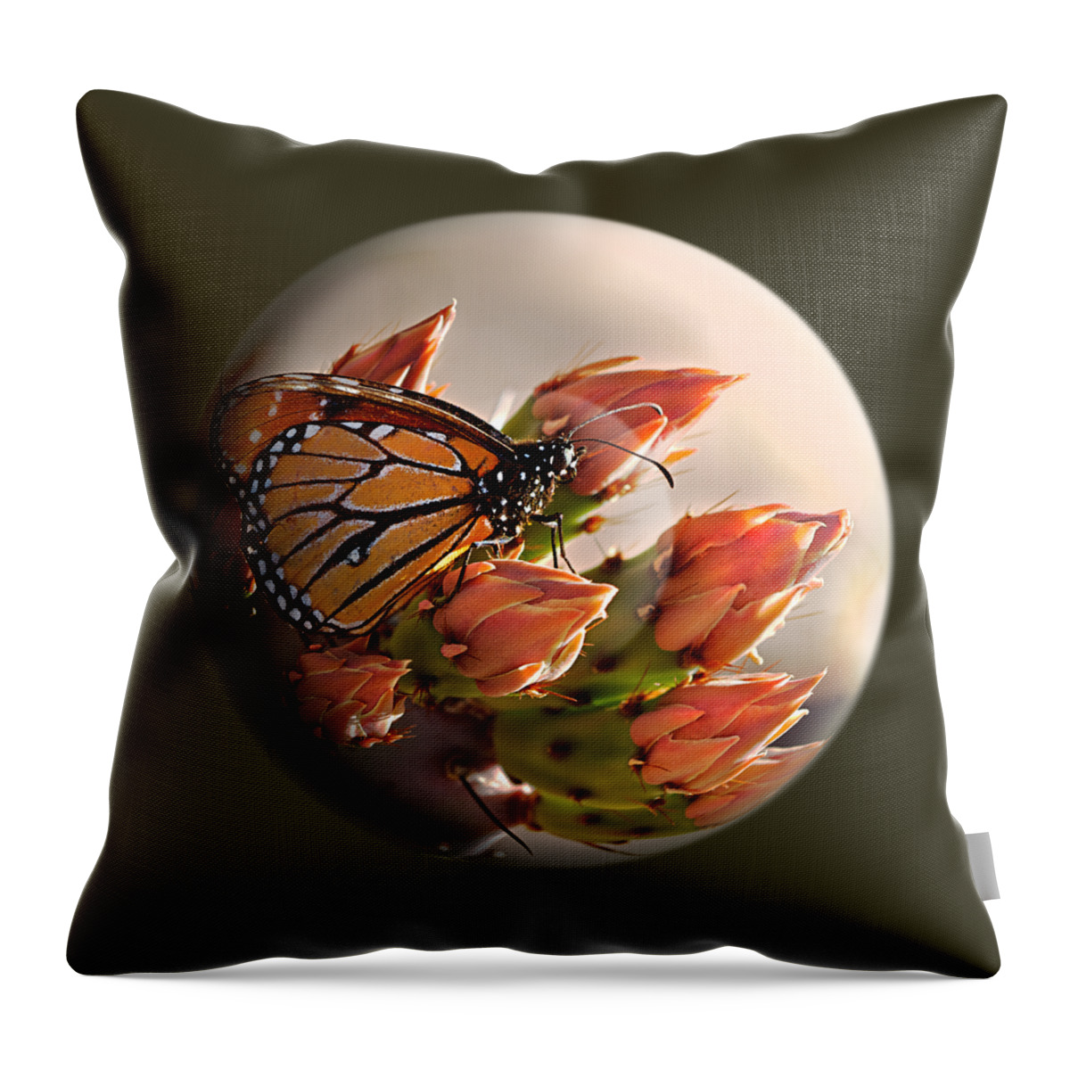 Butterfly Throw Pillow featuring the photograph Butterfly In A Globe by Phyllis Denton