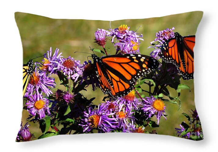 Diane Berry Throw Pillow featuring the photograph Butterfly Mania by Diane E Berry