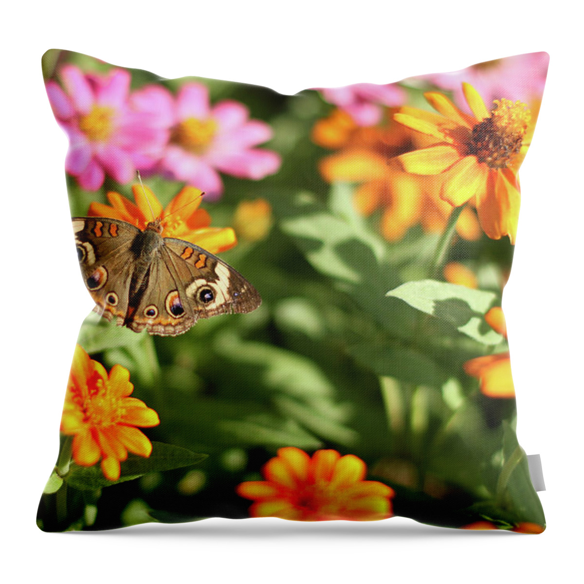 Nature Throw Pillow featuring the photograph Butterfly on bright flowers by Karen Ruhl