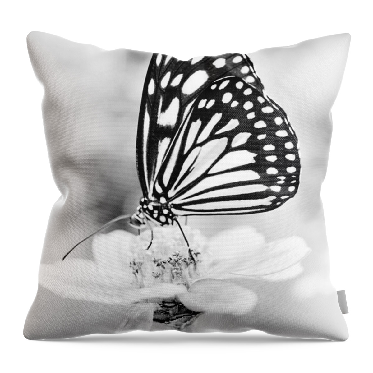 Butterfly Wings Throw Pillow featuring the photograph Butterfly Wings 7 - Black And White by Marianna Mills