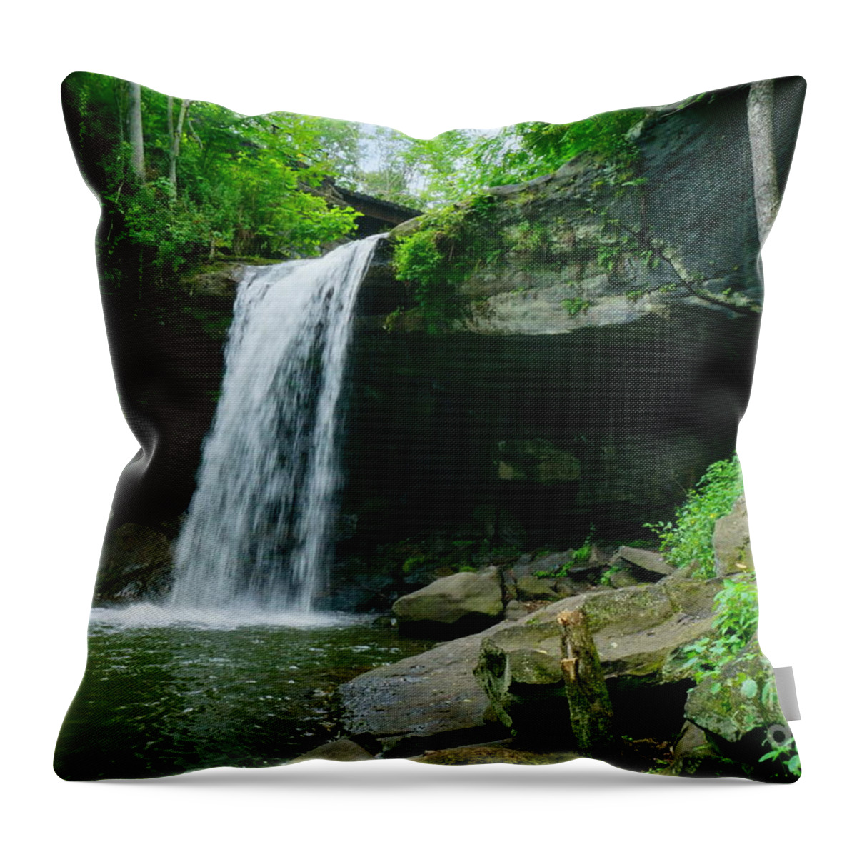 Pittsburgh Throw Pillow featuring the photograph Buttermilk Falls by Amanda Jones