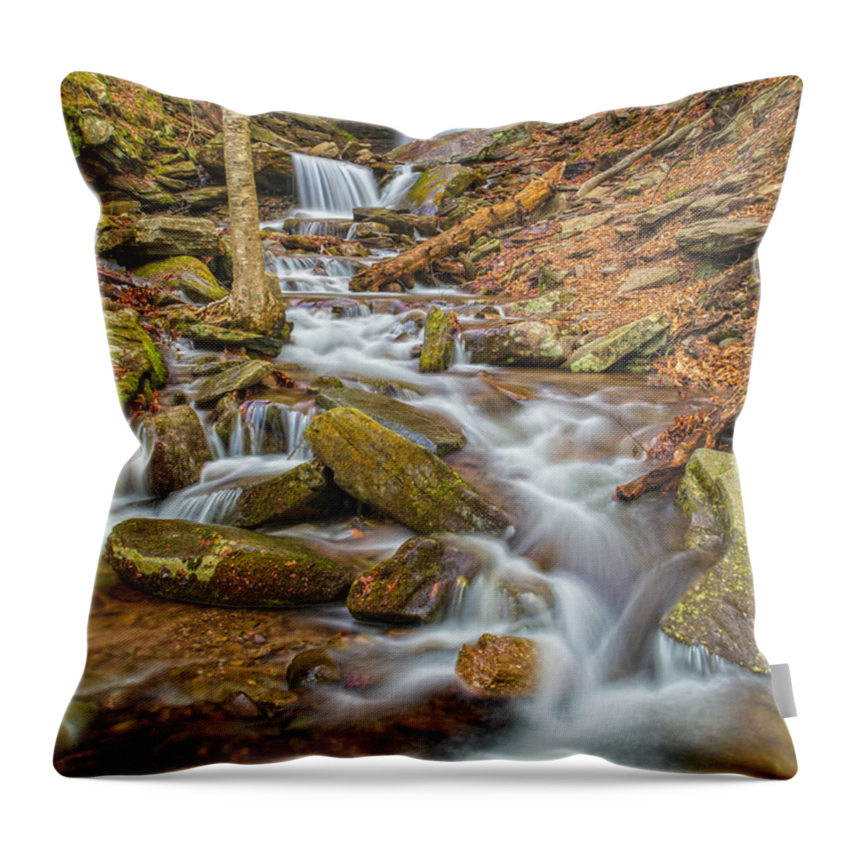 Buttermilk Falls Throw Pillow featuring the photograph Buttermilk Falls In Early Spring by Angelo Marcialis
