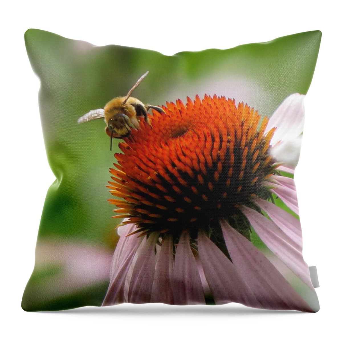  Throw Pillow featuring the photograph Buzzing the Coneflower by Kimberly Mackowski