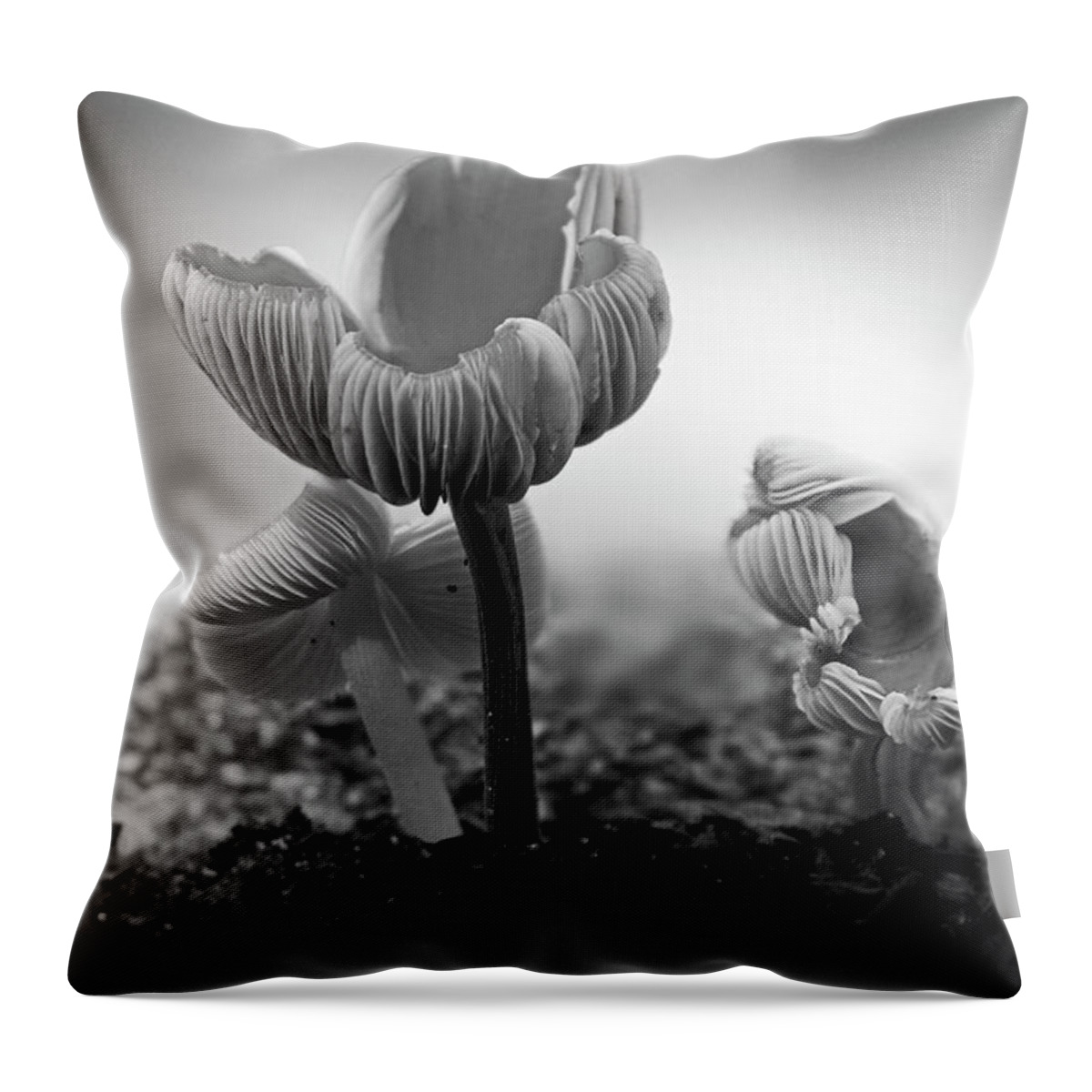 Mushroom Throw Pillow featuring the photograph BW Mushroom - 365- 232 by Inge Riis McDonald