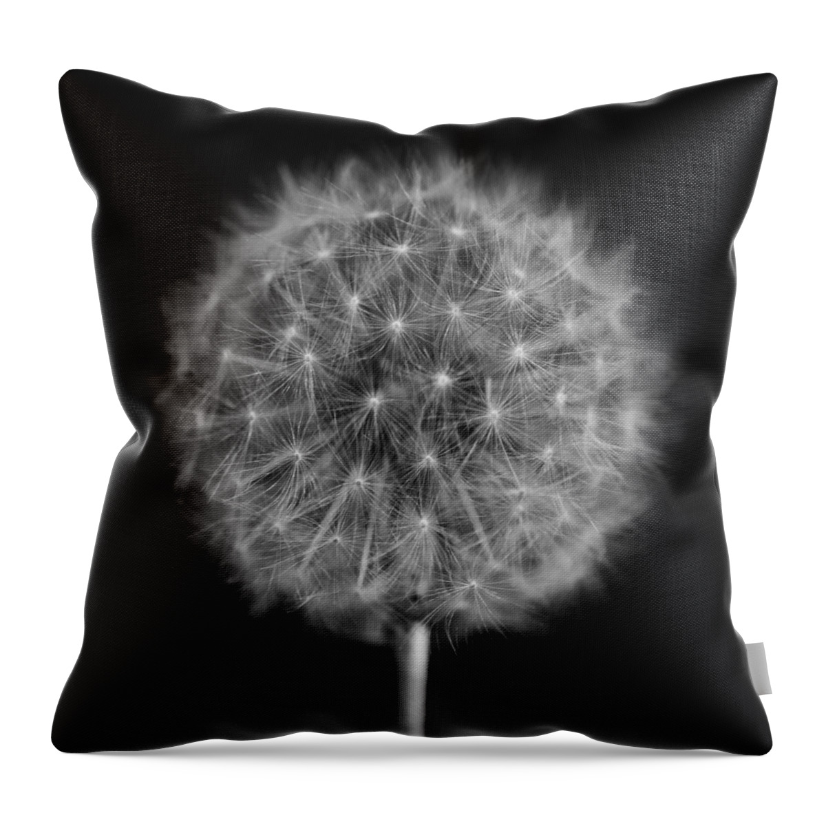 Dandelion Throw Pillow featuring the photograph Bw12 by Charles Harden
