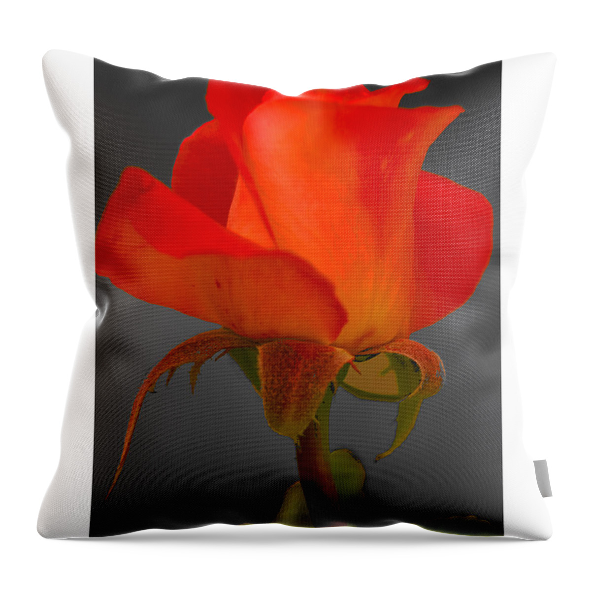  Throw Pillow featuring the photograph By Any Other Name by R Thomas Berner