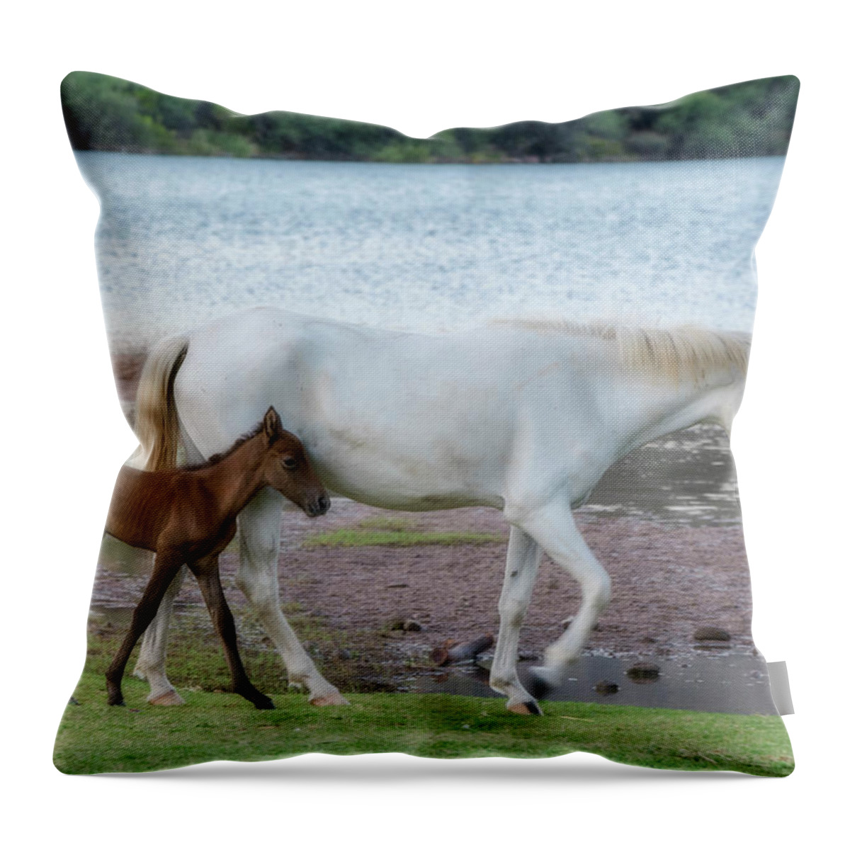Wild Horses Throw Pillow featuring the photograph By Mama's Side is a Good Place To Be by Saija Lehtonen