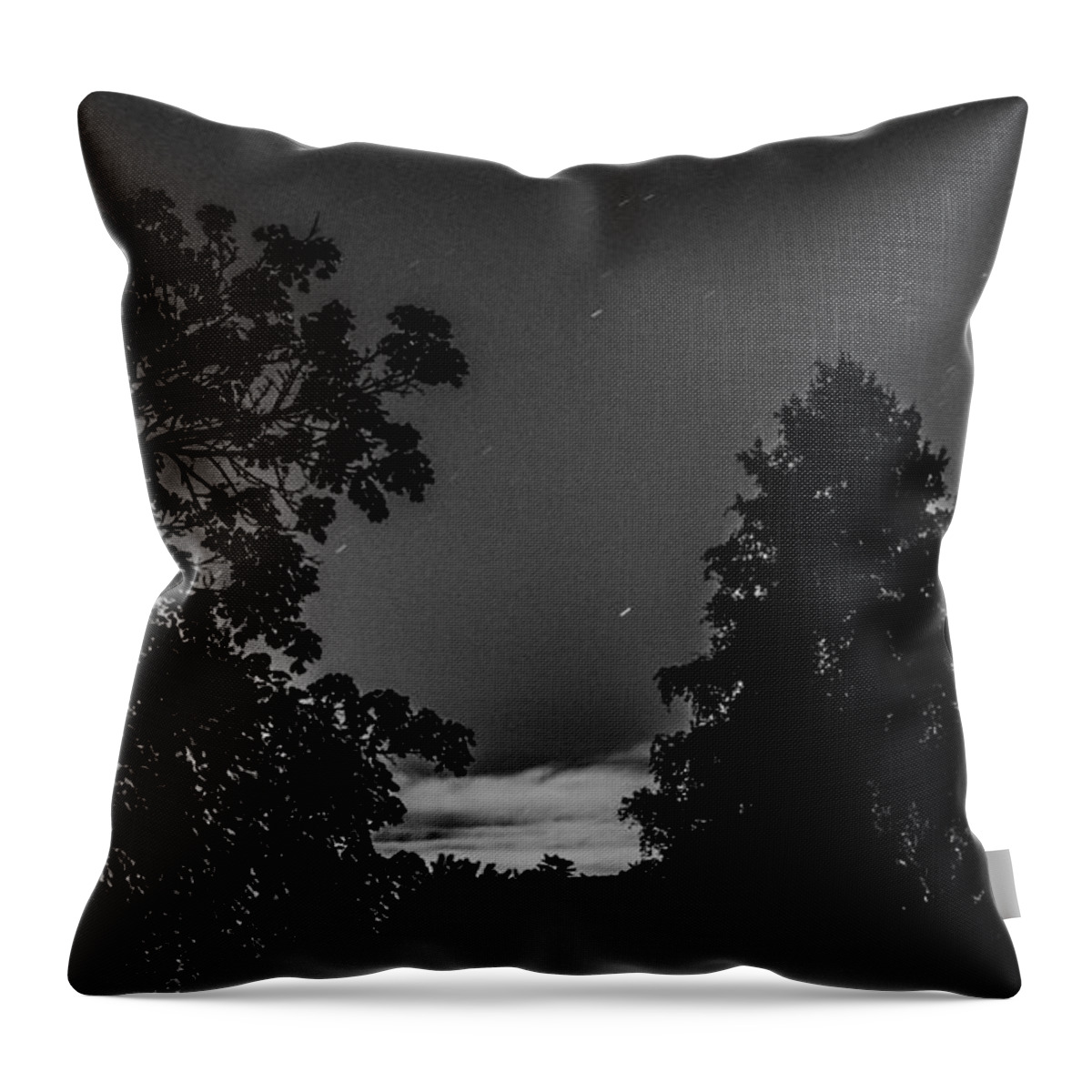 Black Throw Pillow featuring the photograph By the Light of the Moon by Bruce Pritchett