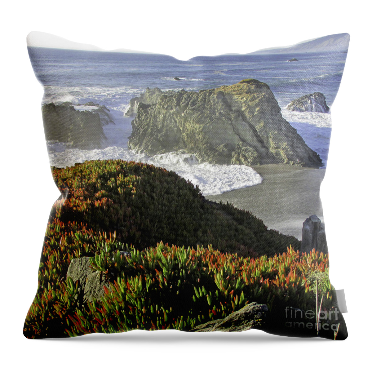 Ocean Throw Pillow featuring the photograph By the Sea by Joyce Creswell