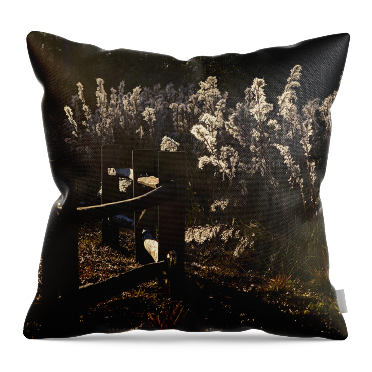 Wildflowers Throw Pillow featuring the photograph By The Way by Steven Sparks