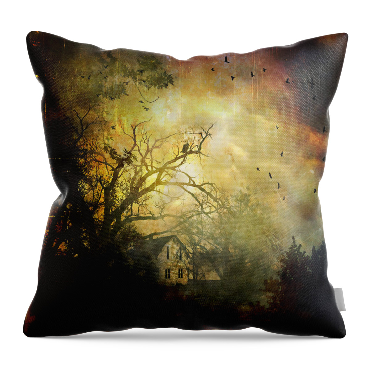 House Throw Pillow featuring the photograph Bygone House On The Hill by Anna Louise