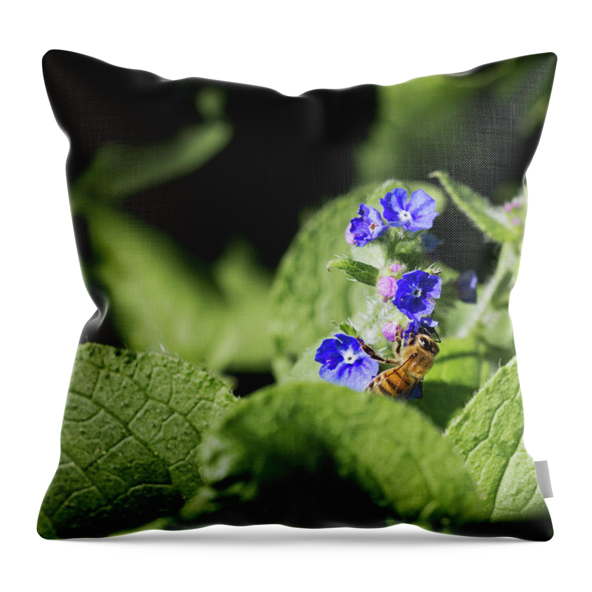 Nature Throw Pillow featuring the photograph Bzzz... by Helga Novelli