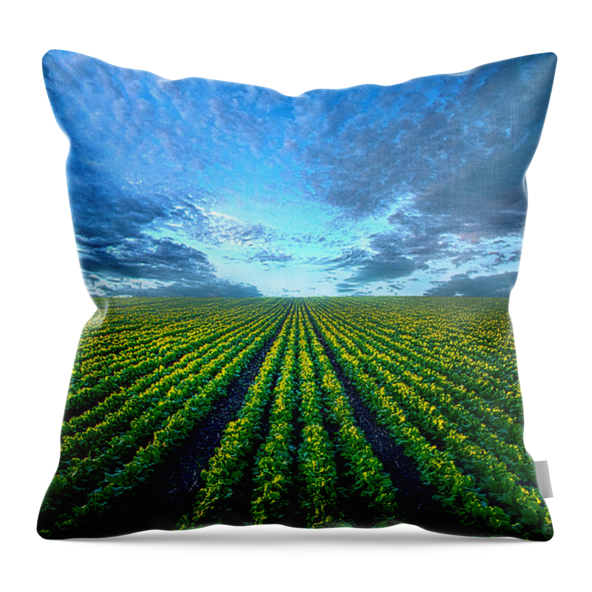 Cabbage Throw Pillow featuring the photograph Cabbage Forever by Phil Koch
