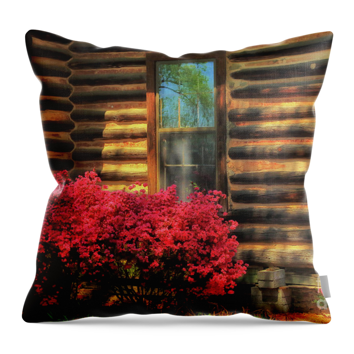 Log Cabin Throw Pillow featuring the photograph Cabin Delight by Geraldine DeBoer