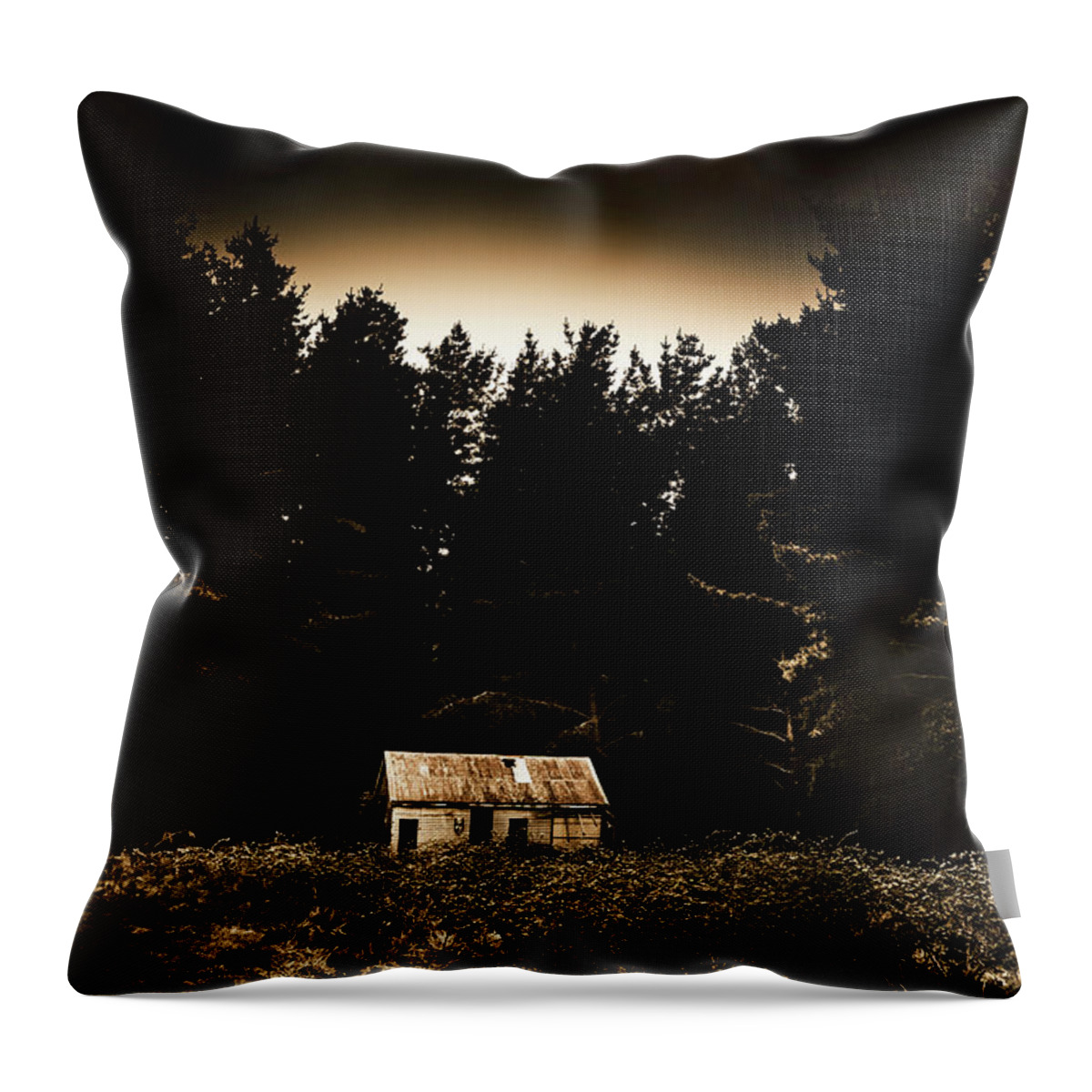 Woods Throw Pillow featuring the photograph Cabin in the woodlands by Jorgo Photography