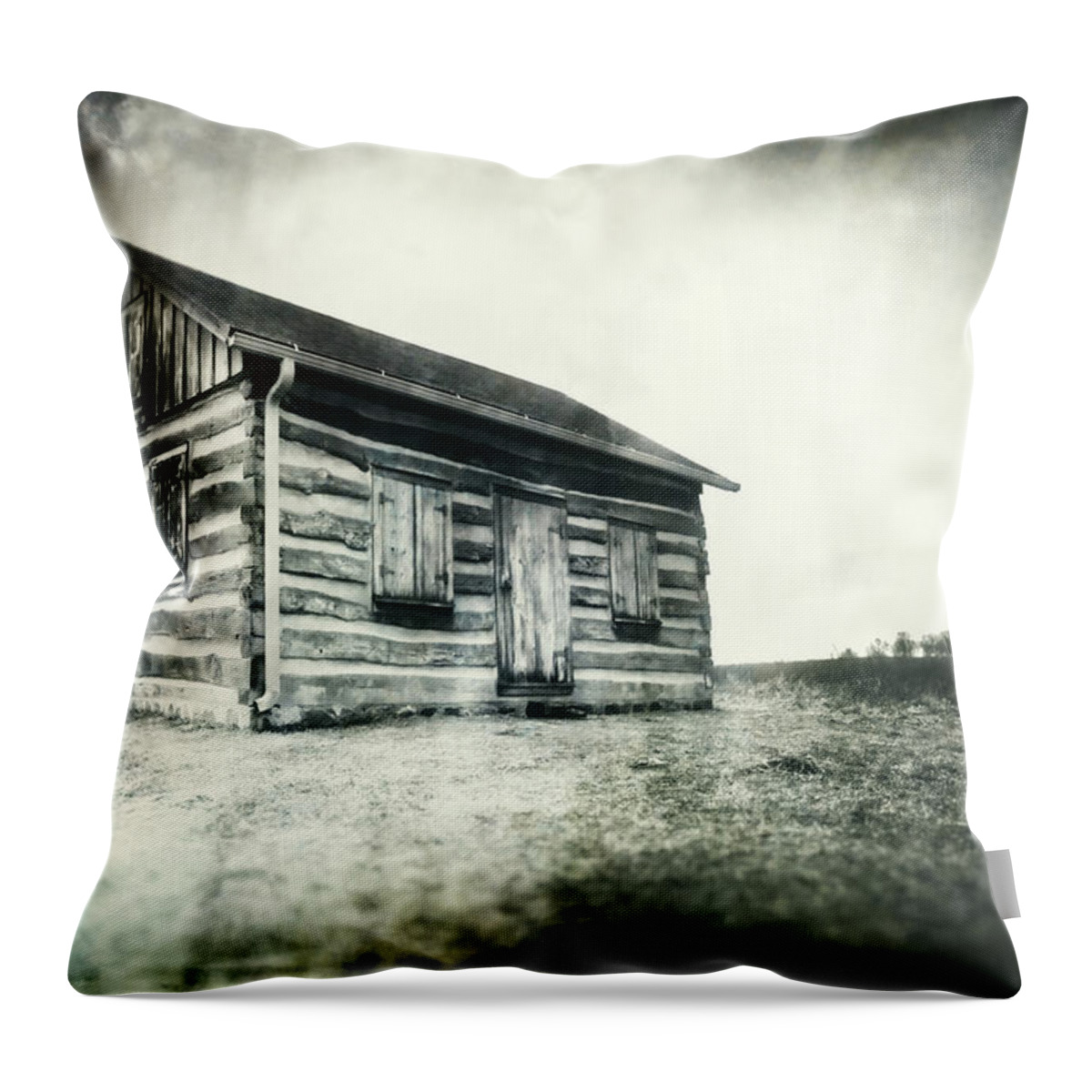 Jennifer Rondinelli Reilly Throw Pillow featuring the photograph Cabin near Paradise Springs - Kettle Moraine State Forest by Jennifer Rondinelli Reilly - Fine Art Photography