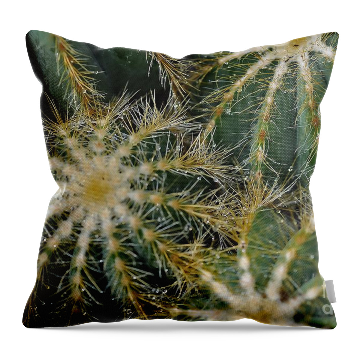 Cactus Throw Pillow featuring the photograph Cacti  Water Drops by Elaine Manley