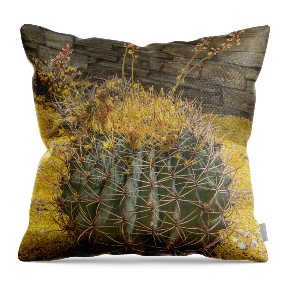 Cactus Throw Pillow featuring the photograph Cactus 5940-041118-1 by Tam Ryan