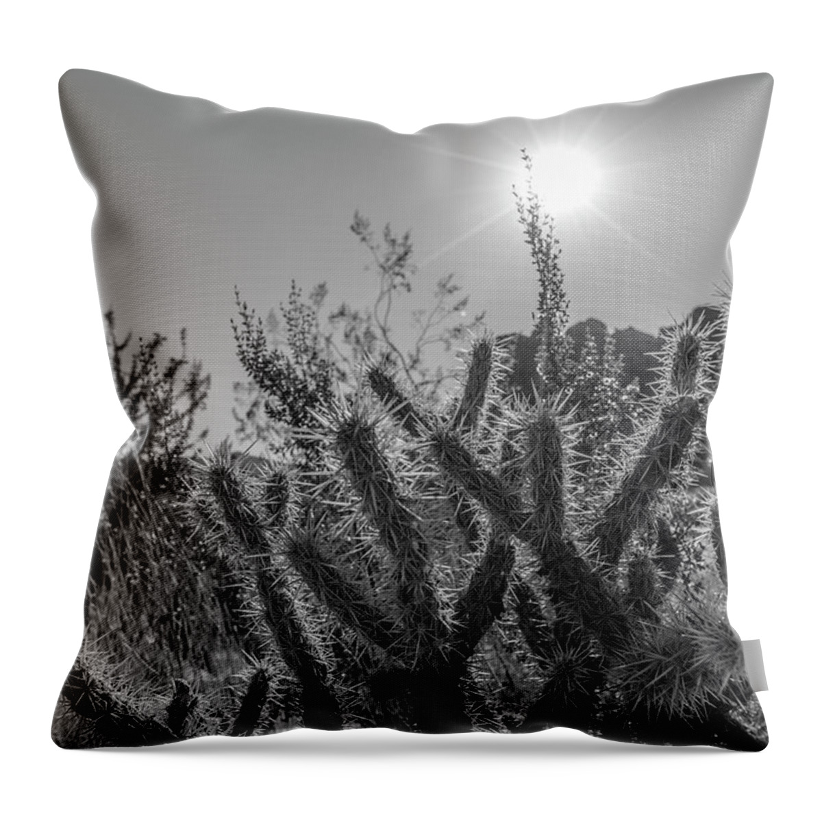 American West Throw Pillow featuring the photograph Cactus and Sun Valley of Fire State Park by John McGraw