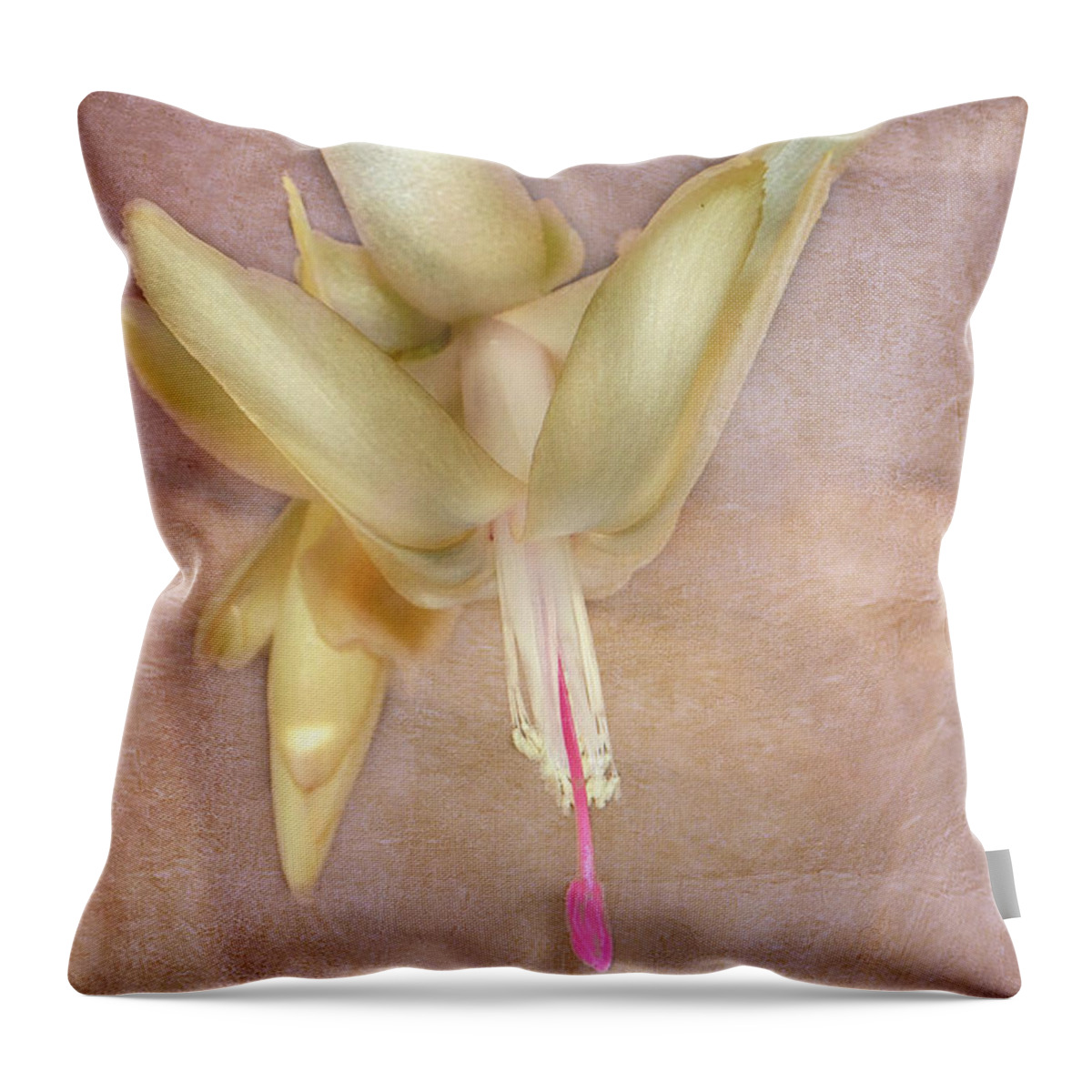Cactus Throw Pillow featuring the photograph Cactus Bloom by Judy Hall-Folde