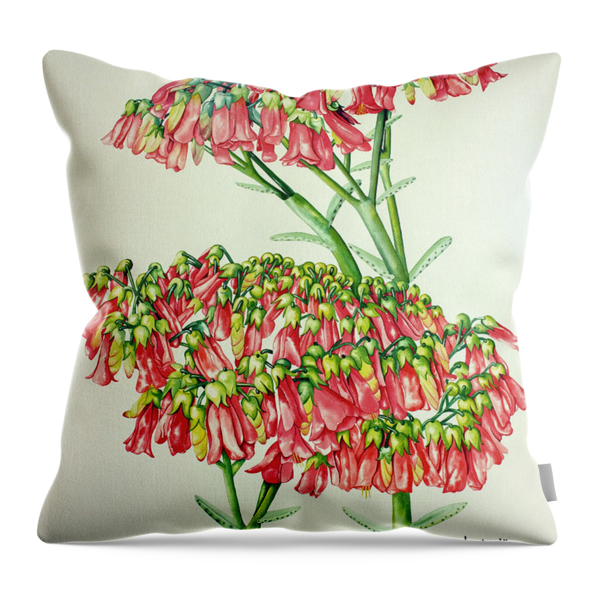 Cactus Throw Pillow featuring the painting Cactus Flower 3 by Kandyce Waltensperger