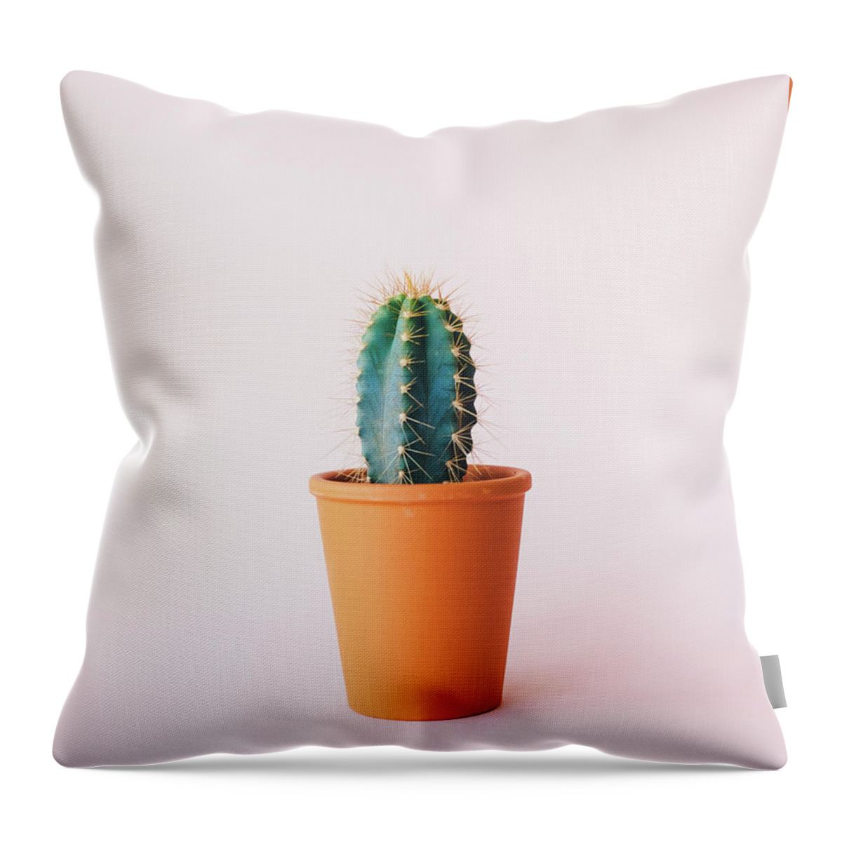 Cactus Throw Pillow featuring the photograph Cactus Pot by Happy Home Artistry