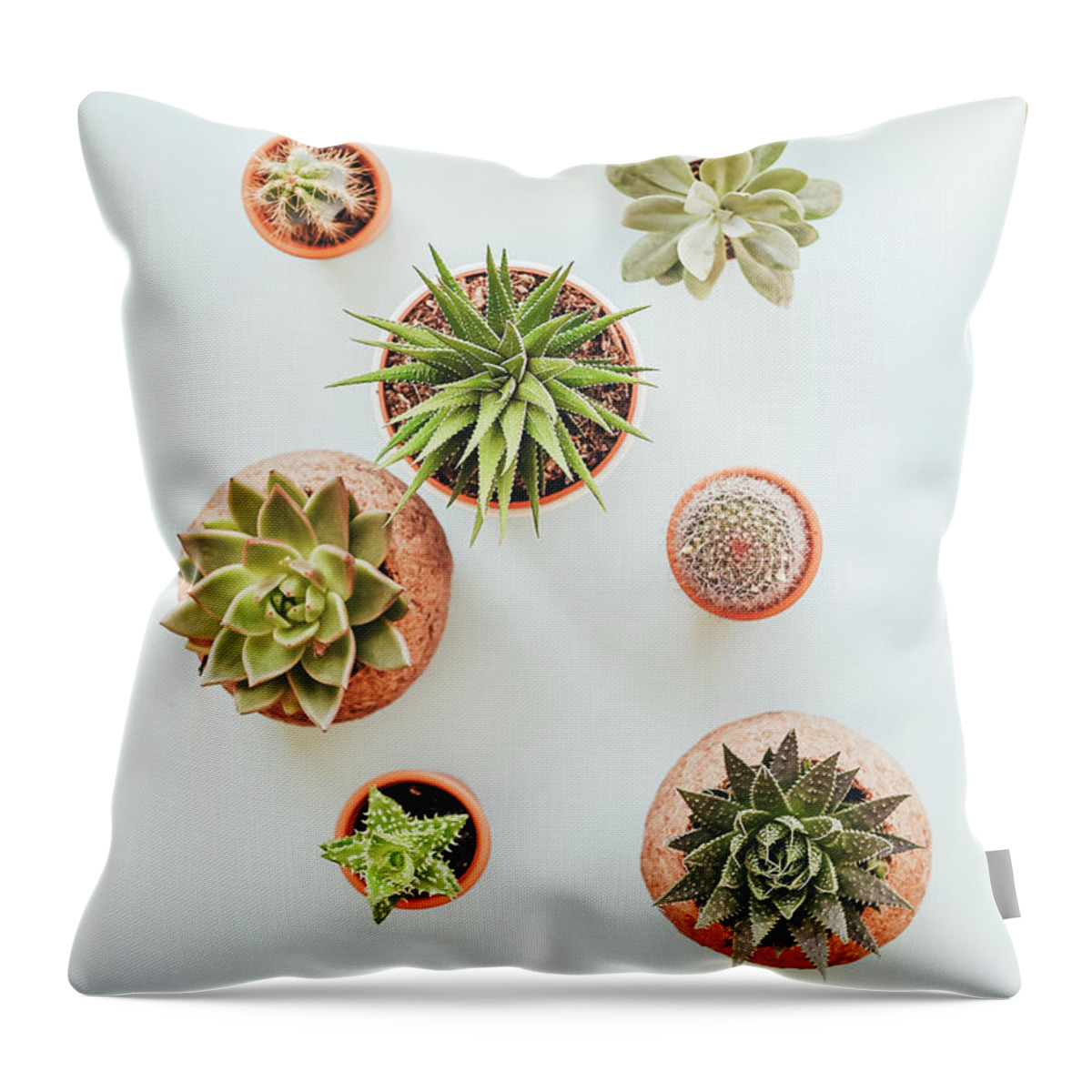 Cactus Throw Pillow featuring the photograph Cactus Pots by Happy Home Artistry